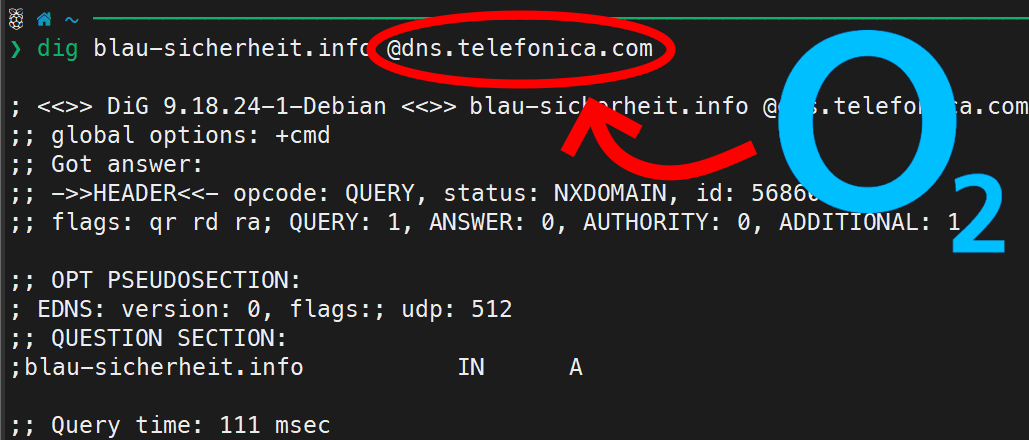A German ISP tampered with their DNS - specifically to sabotage my website